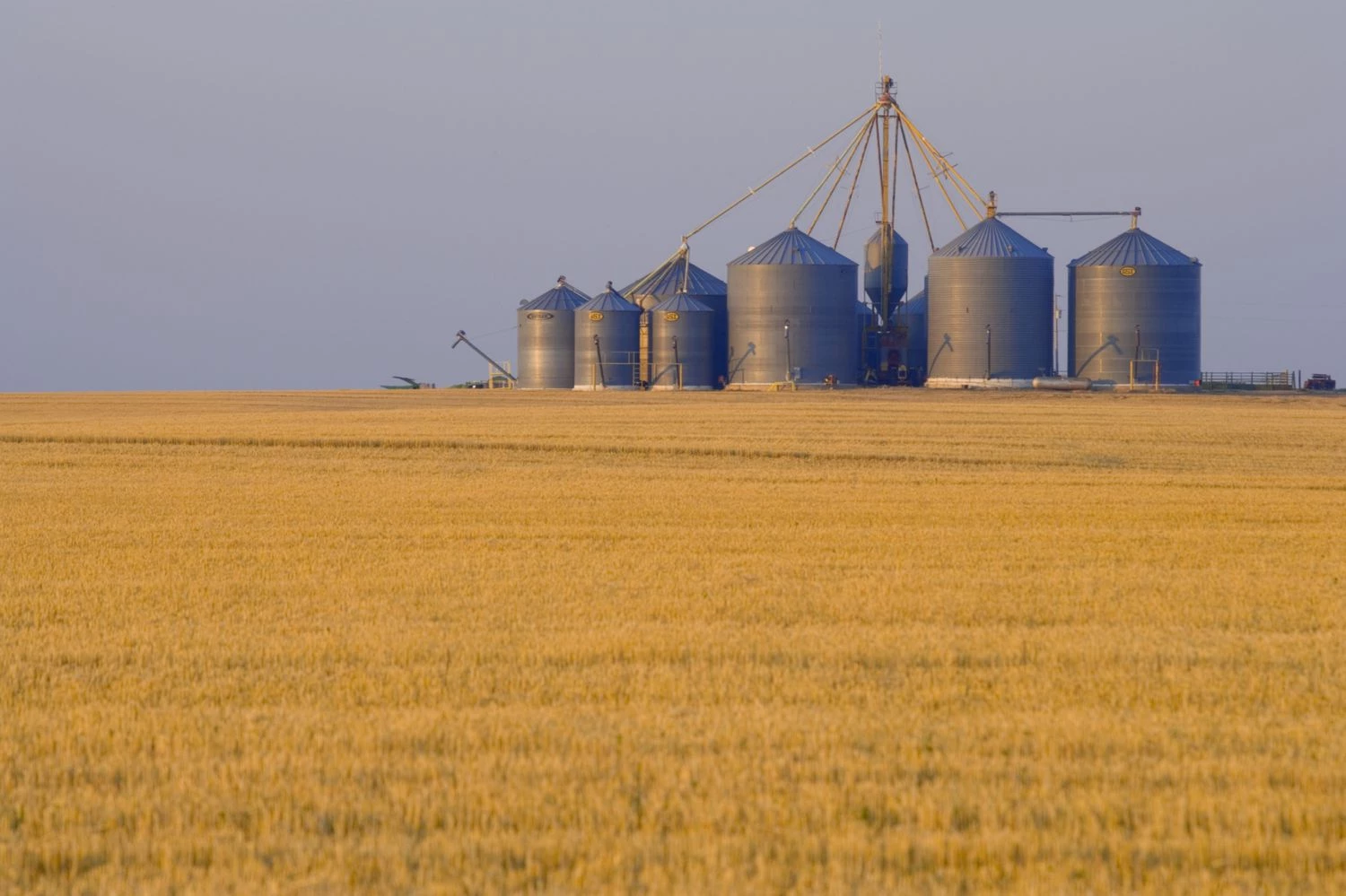 Exploring Commodities Exchanges: Functions and Varieties